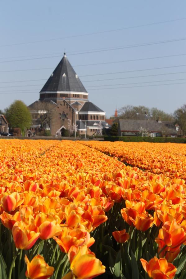 Droomsaam Lisse Exterior foto